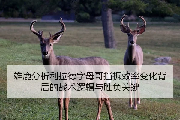 雄鹿分析利拉德字母哥挡拆效率变化背后的战术逻辑与胜负关键