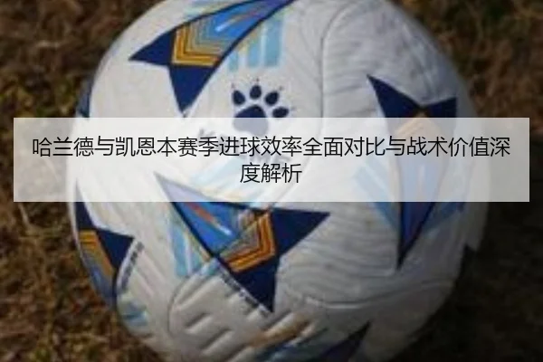 哈兰德与凯恩本赛季进球效率全面对比与战术价值深度解析